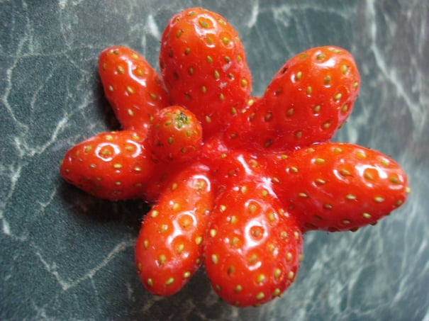 Malformed Strawberry