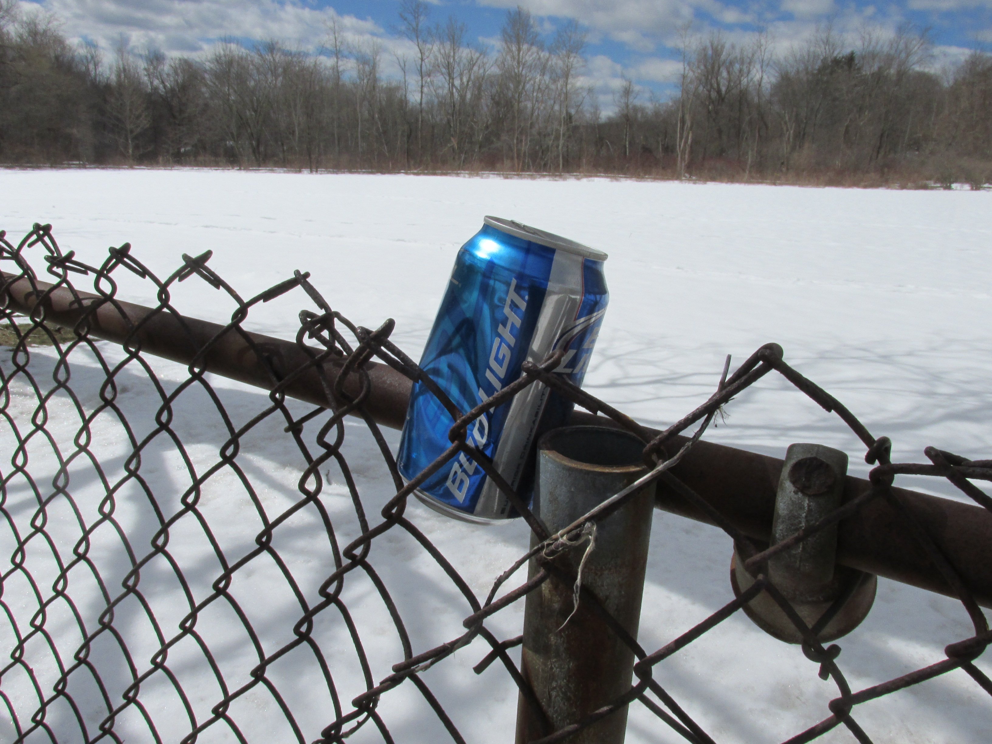 cpg market research bud light can