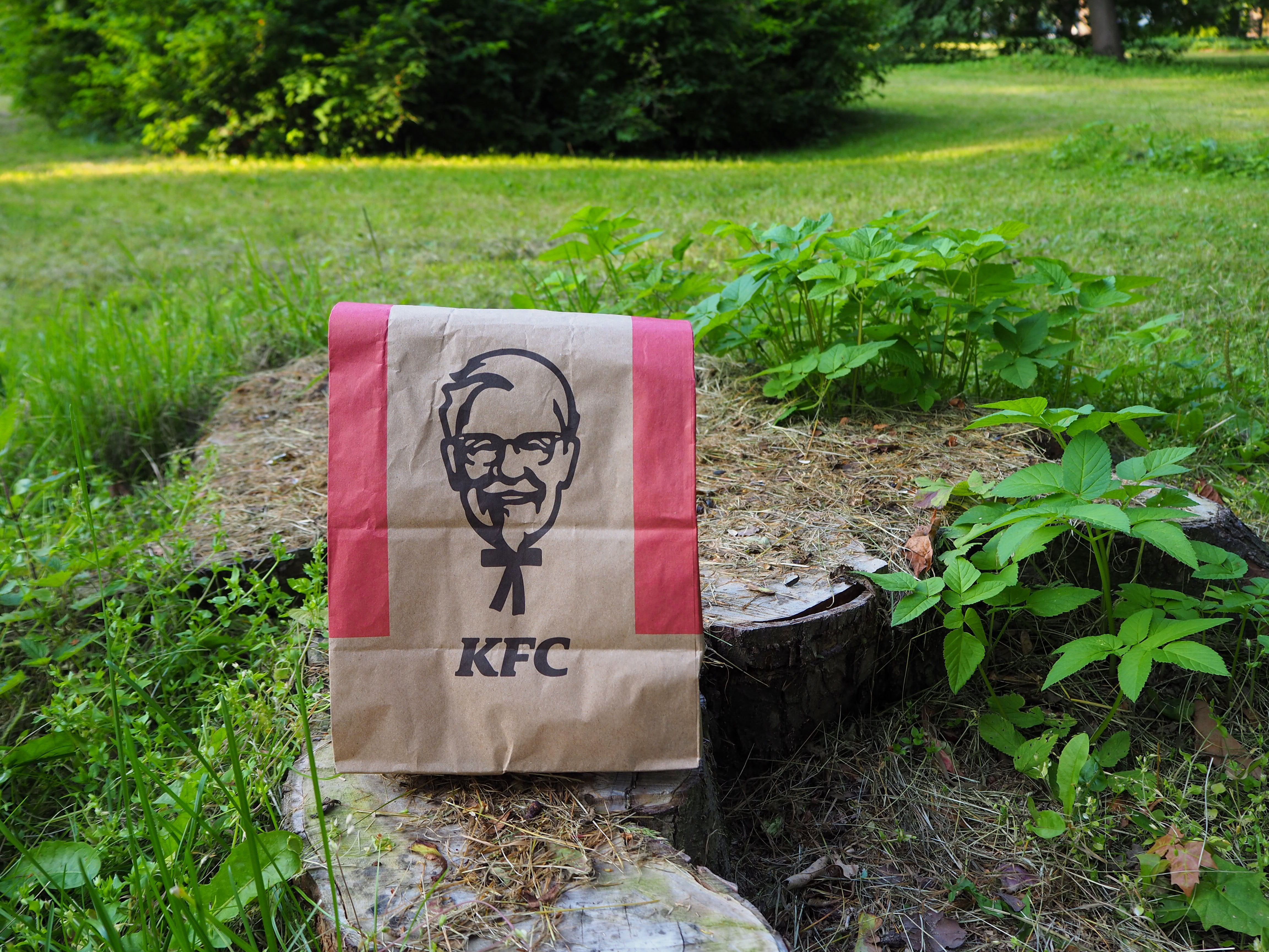 food service market research kfc bag