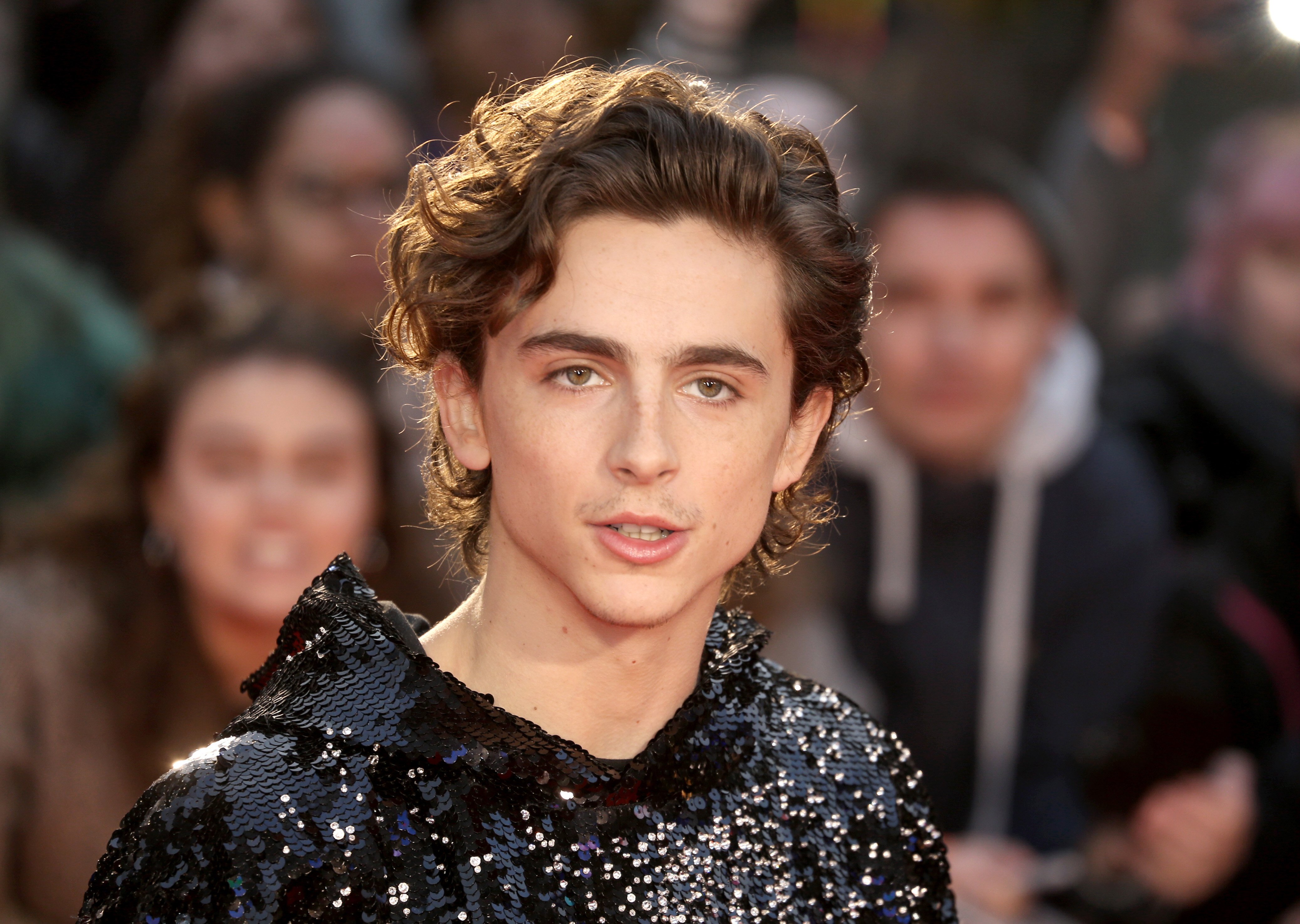 market research chalamet