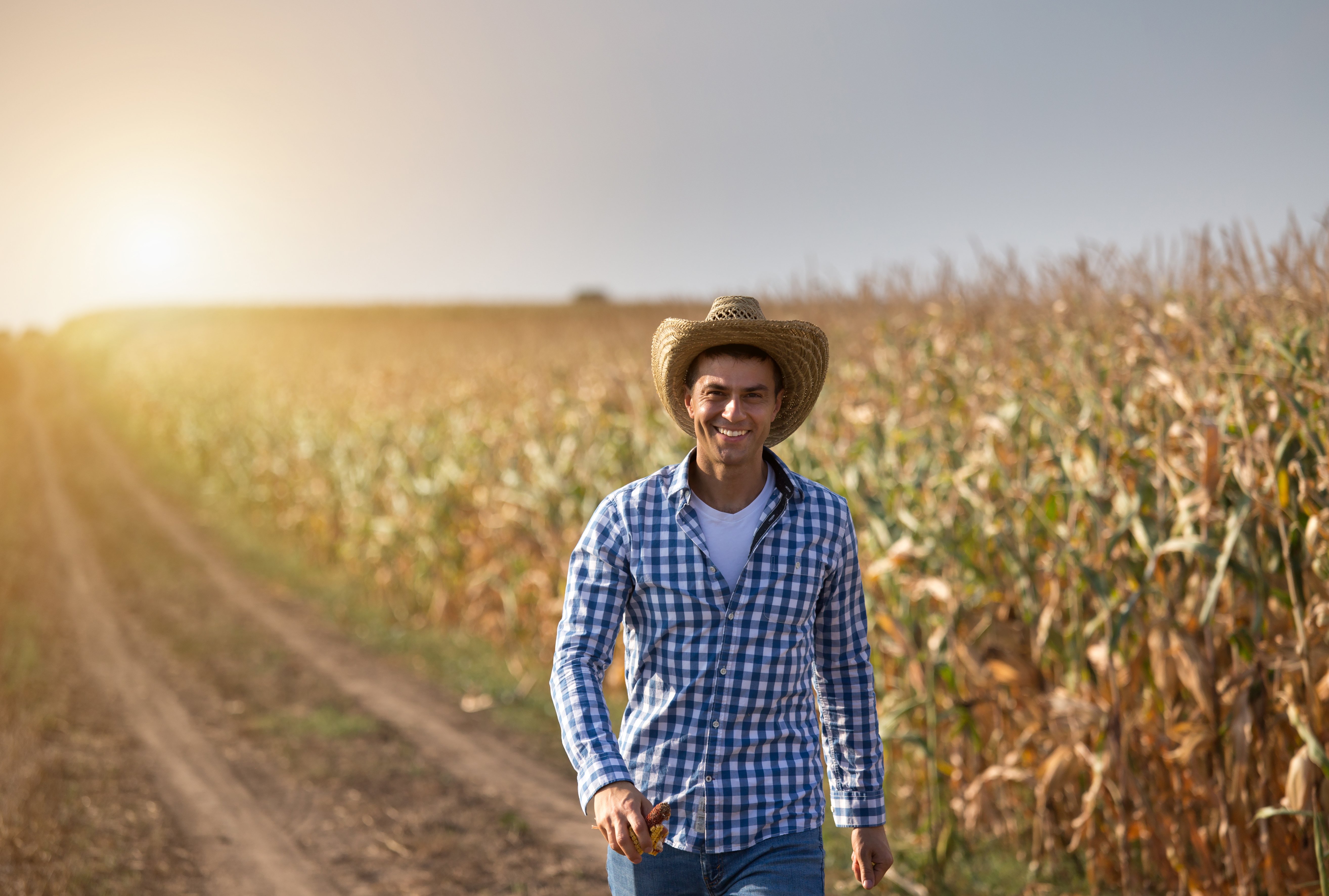 market research handsome farmer corn