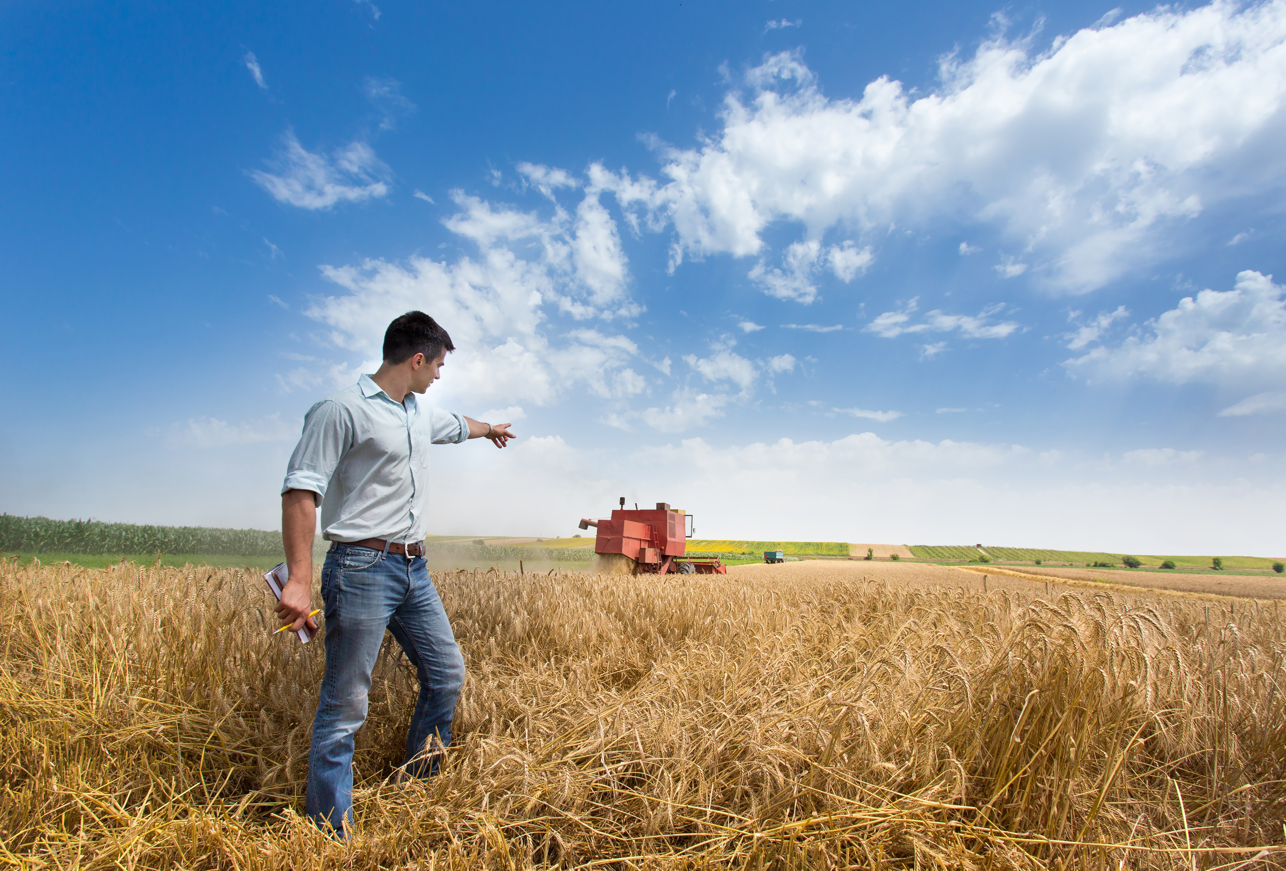 market research handsome farmer