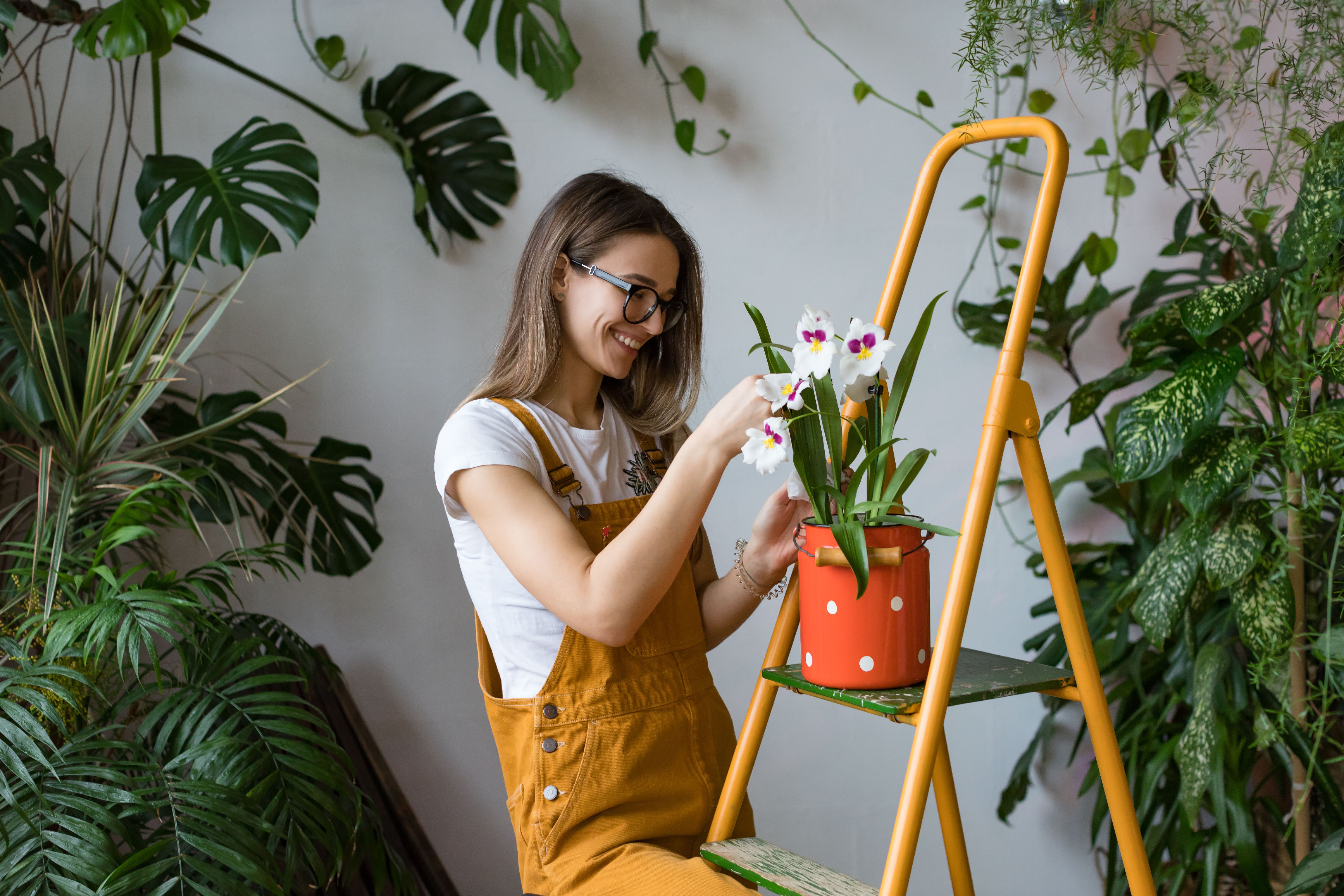 panel surveys house plants