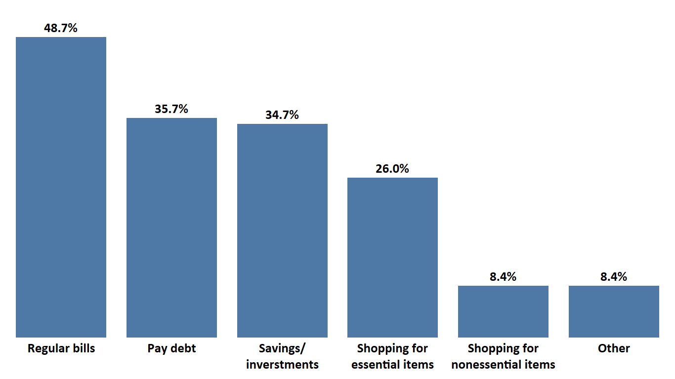 trendsource market research stimulus check use