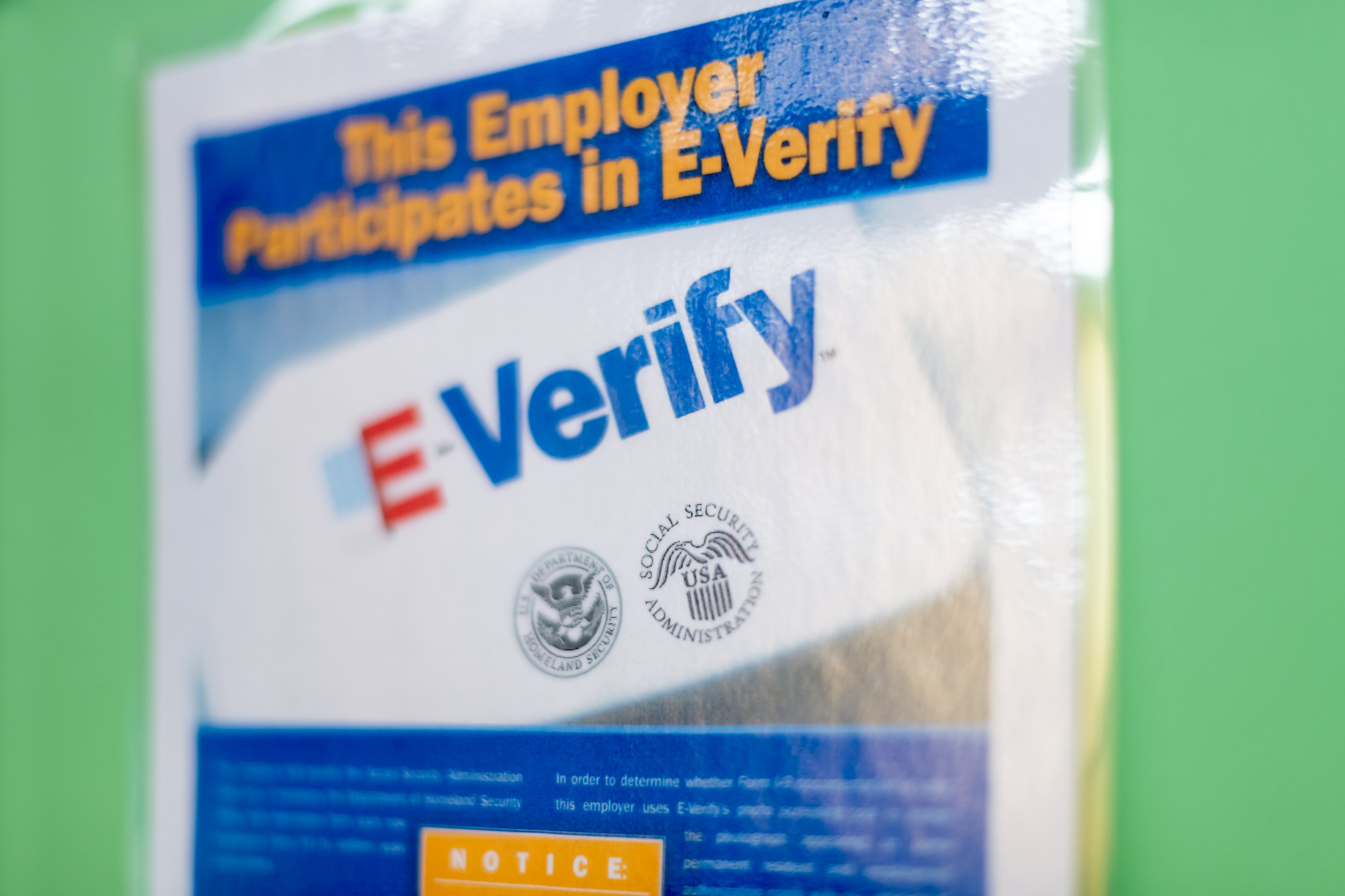 Do You Have to E-Verify All Employees?