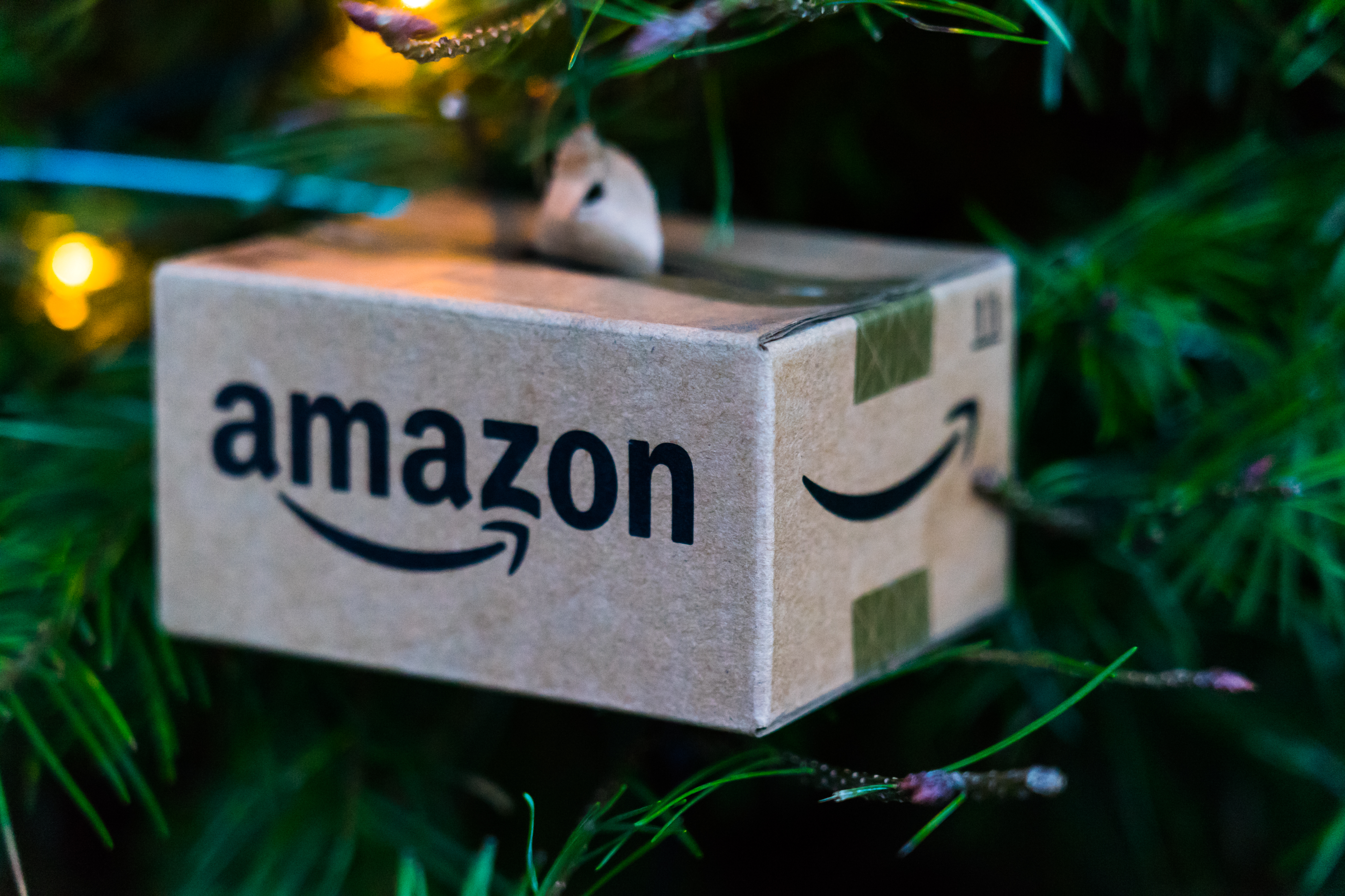 Retail Market Research: Amazon’s Holiday Catalogue and Its Backward Path to Omnichannel