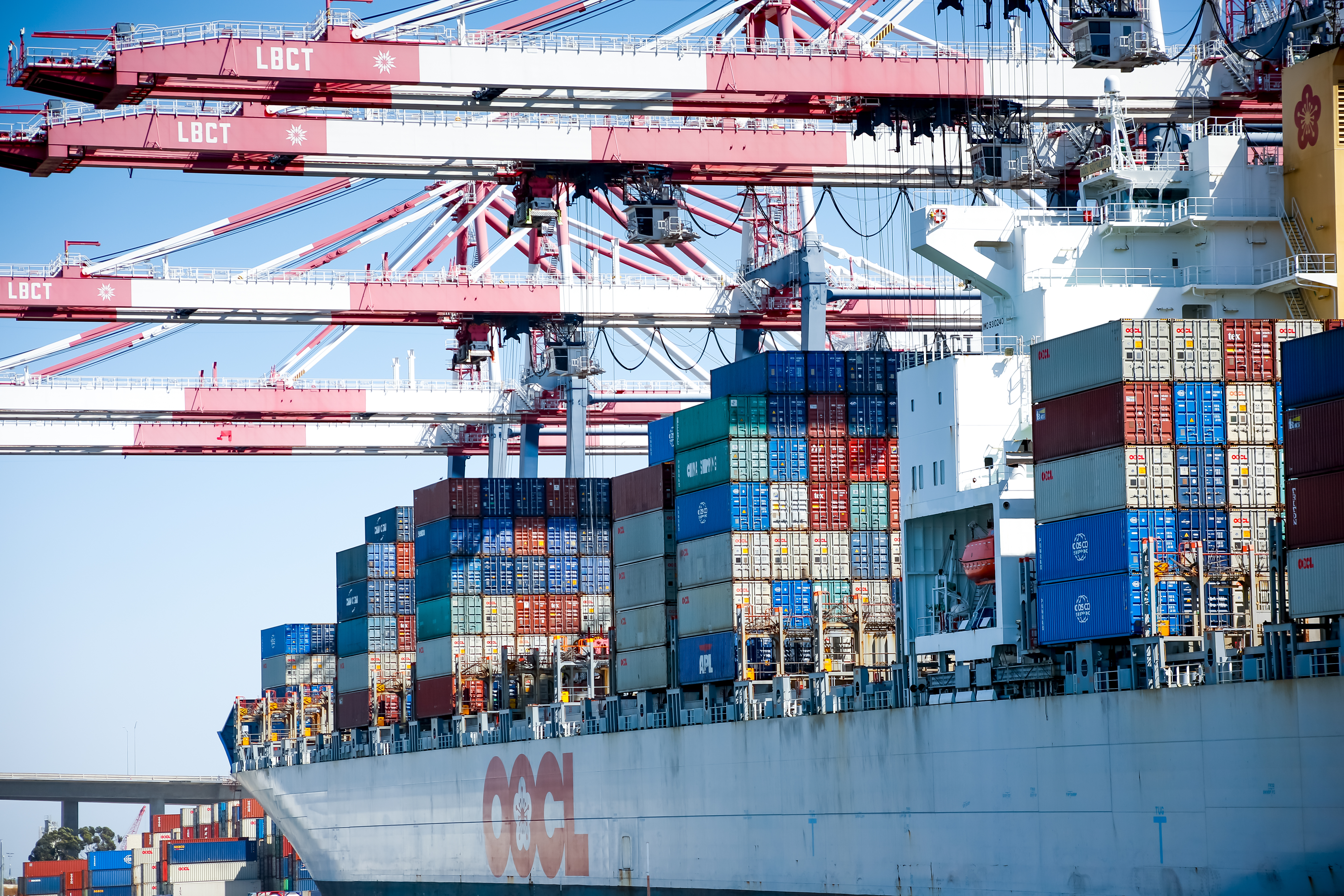 Supply Still Has to Catch Up to Demand: Port Delays, Shipping, and Market Research